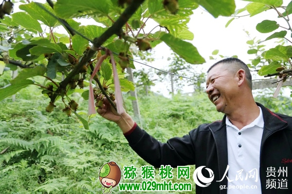 豪门国际官方网站图片