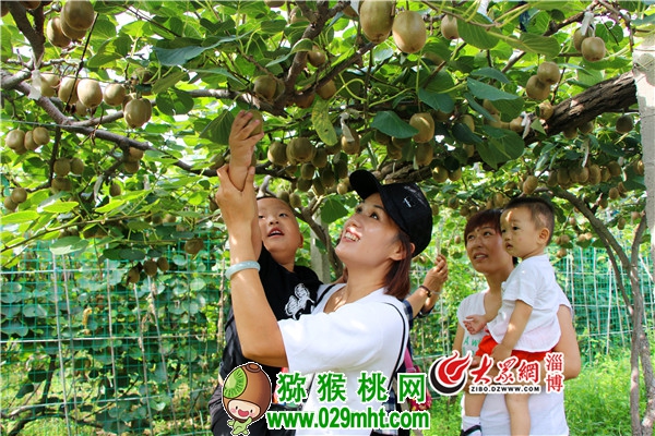 豪门国际 7e098