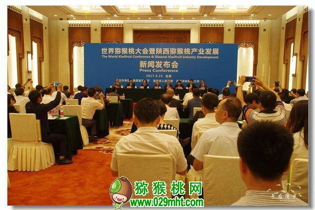 豪门国际官方网站图片