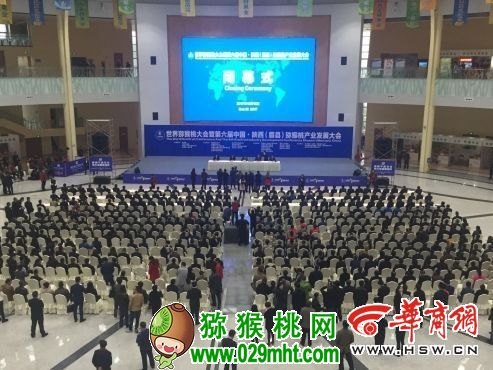 点击图片进入下一页 豪门国际官方网站图片