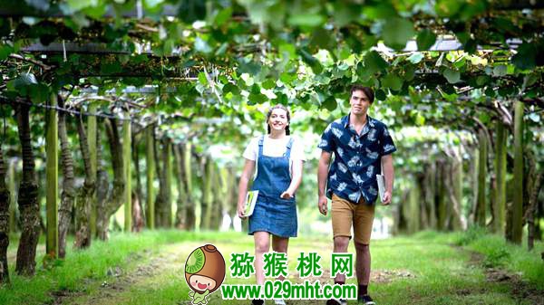 了解佳沛公司的运作模式 为我国豪门国际猕猴桃产业发展探索出路