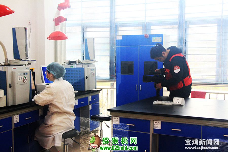 豪门国际官方网站图片