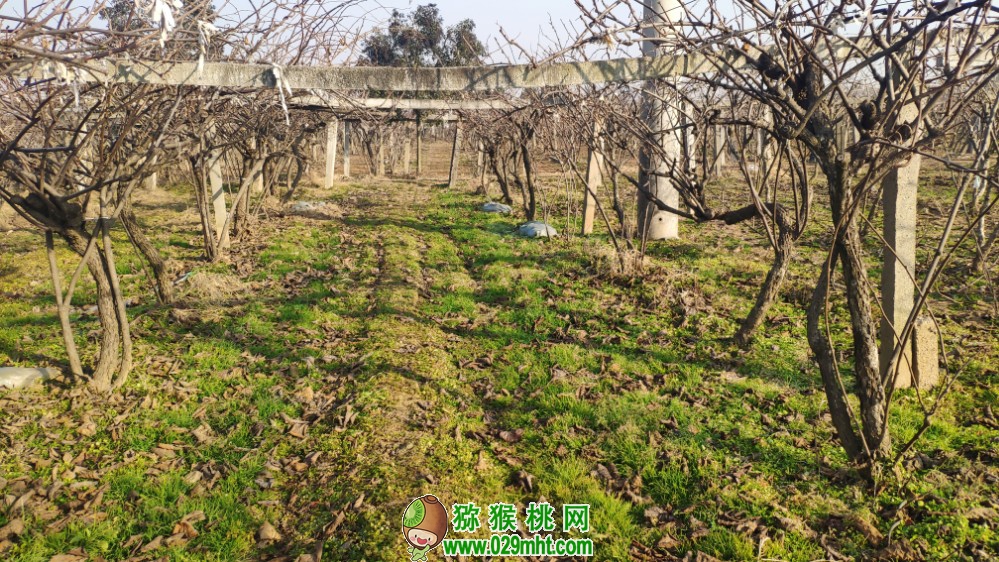 豪门国际 24535