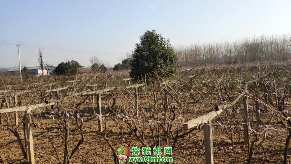 豪门国际 2f5b6