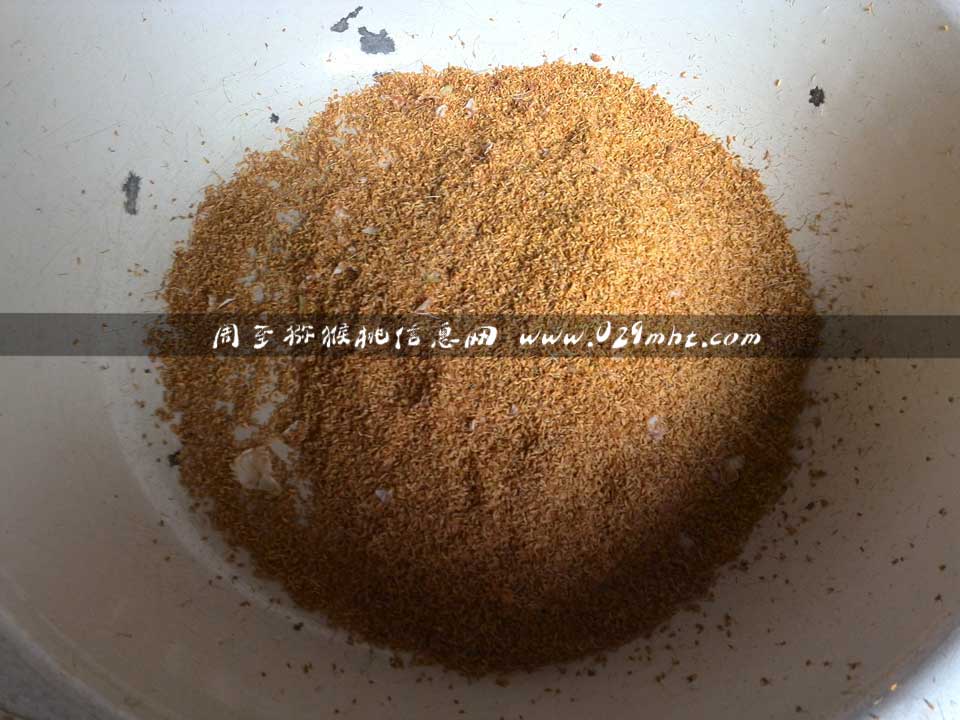 <a href=http://www.linux-china.com/zhouzhimihoutao/ target=_blank class=infotextkey />周至豪门国际猕猴桃</a>采花粉画报