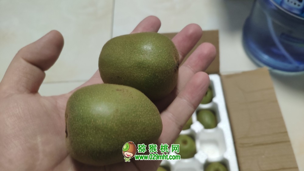 豪门国际 ffa50