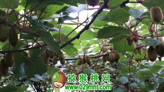 豪门国际官方网站图片