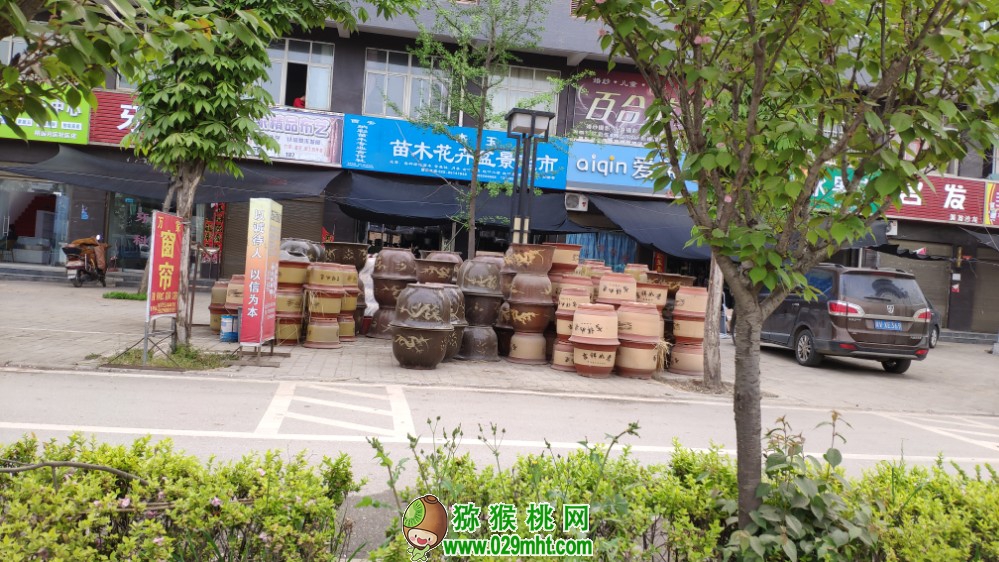 豪门国际 d86a5
