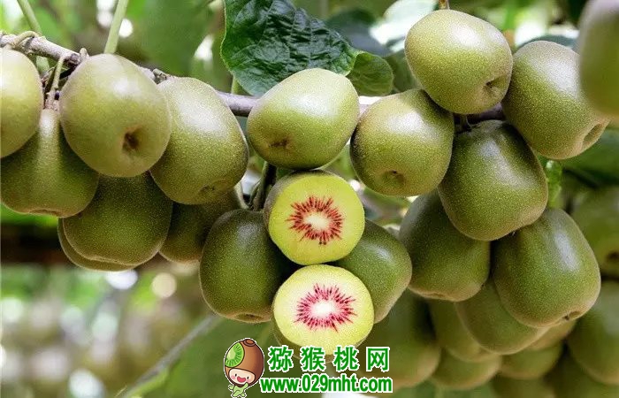 豪门国际官方网站图片