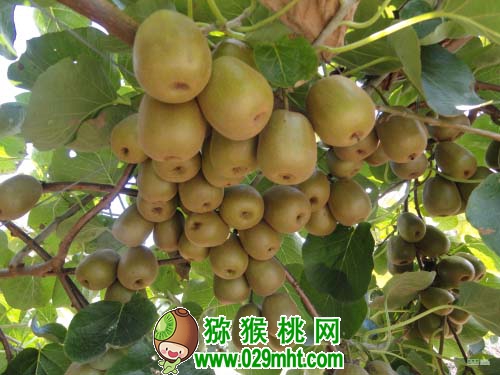 豪门国际官方网站图片