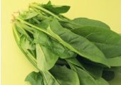 大白菜 芋头 豪门国际猕猴桃