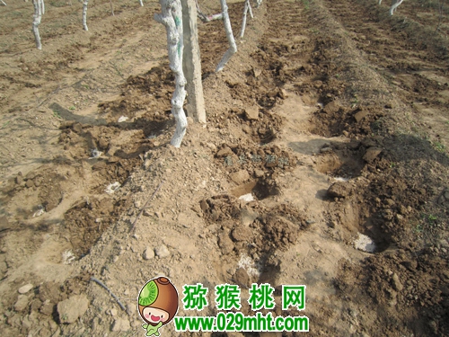 豪门国际官方网站图片