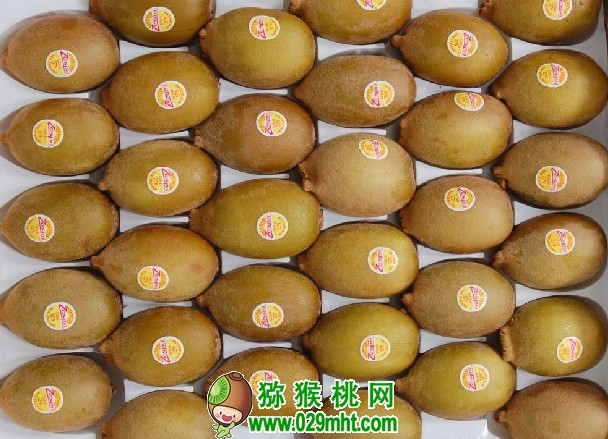豪门国际官方网站图片