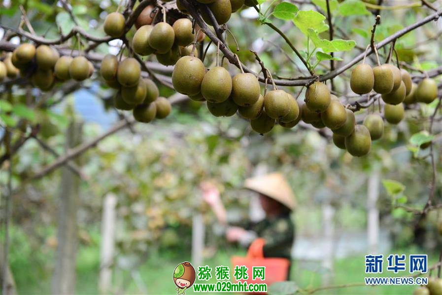 豪门国际官方网站图片
