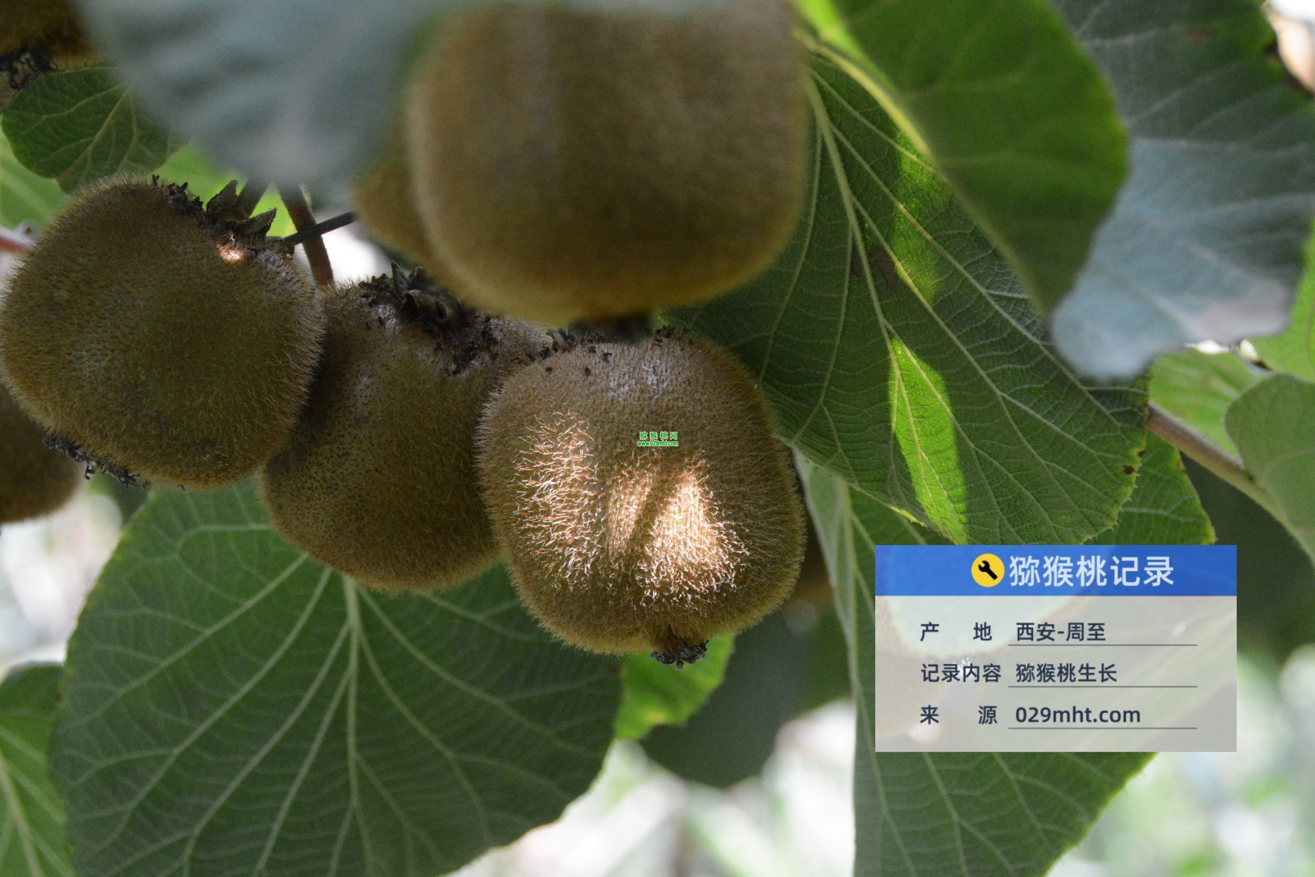 豪门国际 64be0
