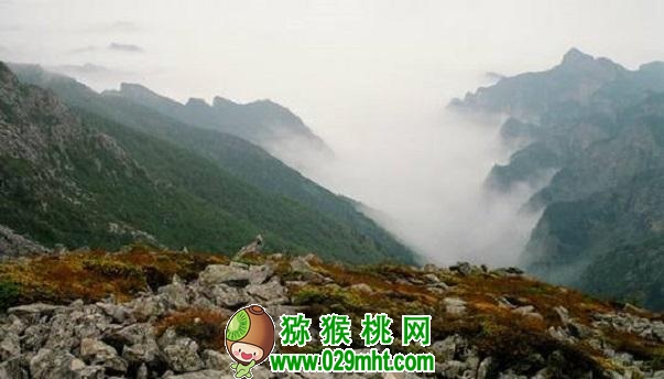 豪门国际官方网站图片