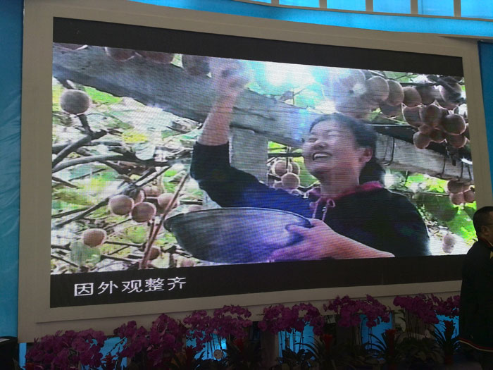 豪门国际官方网站图片