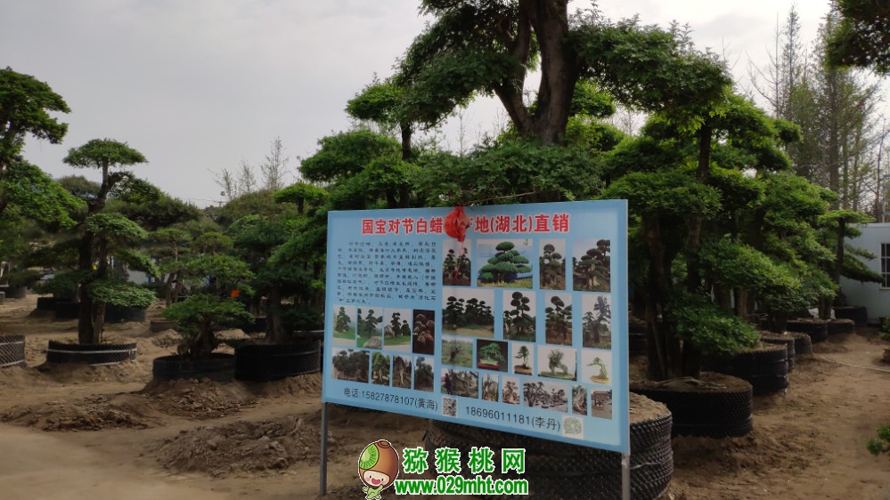 豪门国际官方网站图片
