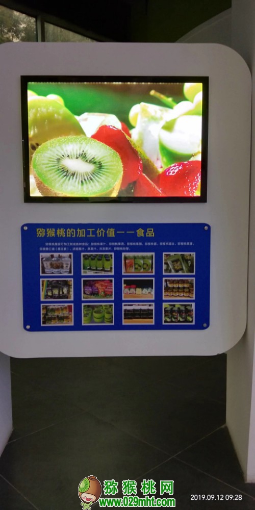 豪门国际 8cfa5