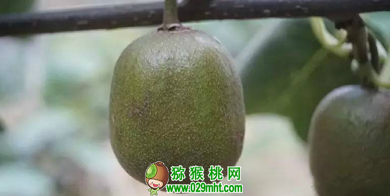 豪门国际官方网站图片