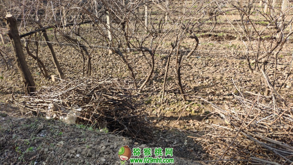 豪门国际 64c6e
