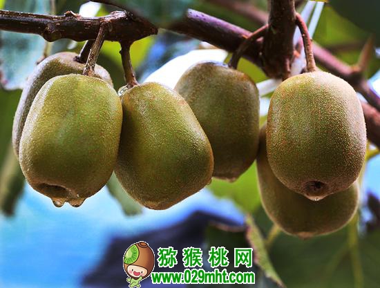 豪门国际 56739