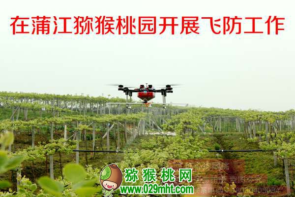 三月<a href=http://www.linux-china.com/mht/hongxin/ target=_blank class=infotextkey />红心豪门国际猕猴桃</a>管理