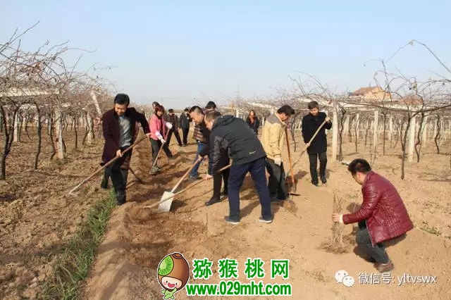 豪门国际官方网站图片