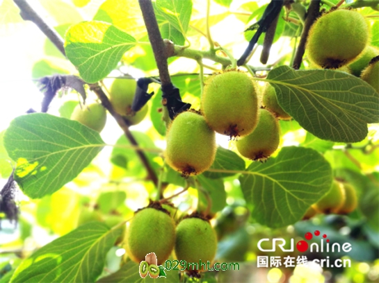 豪门国际官方网站图片