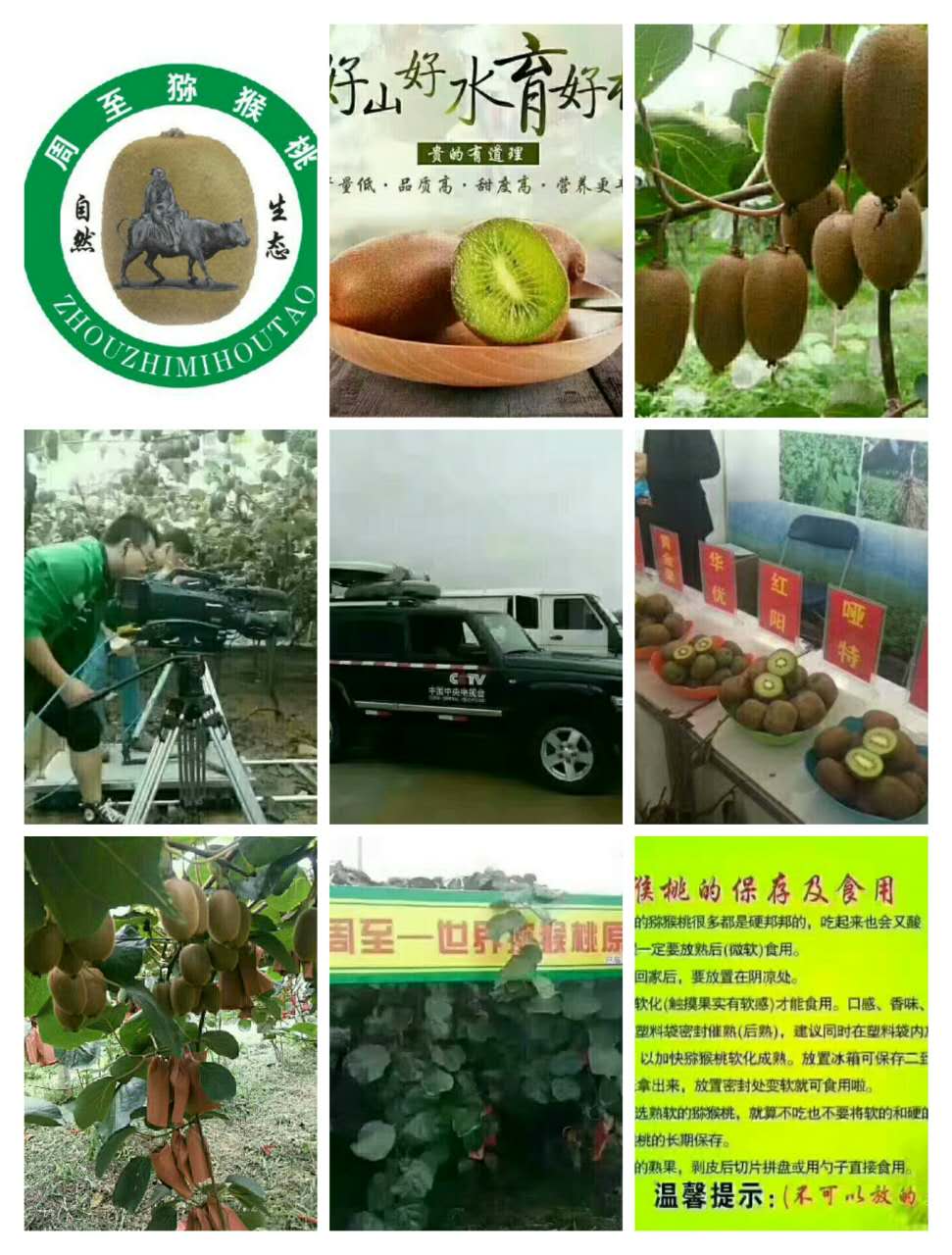 豪门国际 39e12
