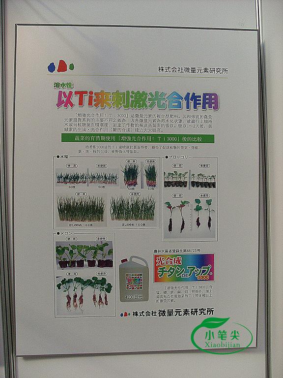 豪门国际官方网站图片