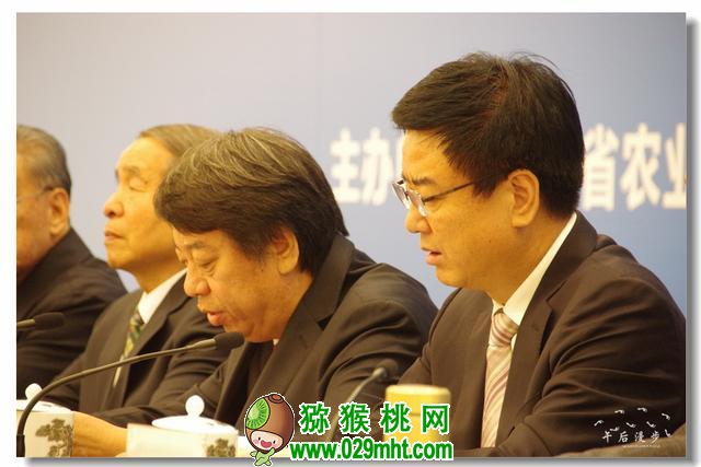豪门国际官方网站图片