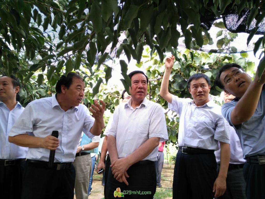 豪门国际官方网站图片