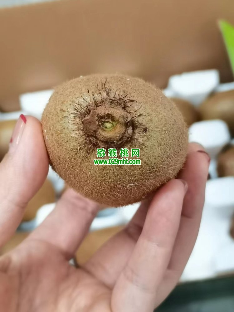 豪门国际 9a946