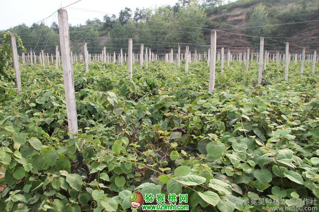 豪门国际官方网站图片