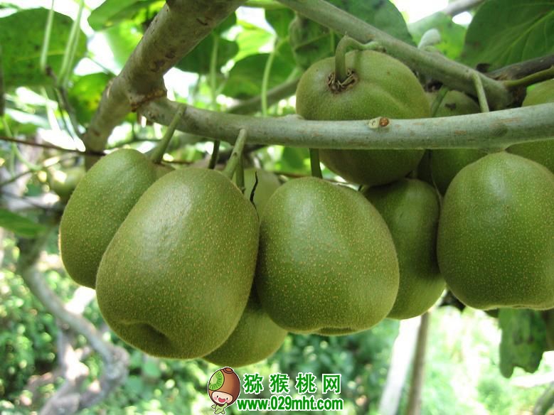 豪门国际官方网站图片