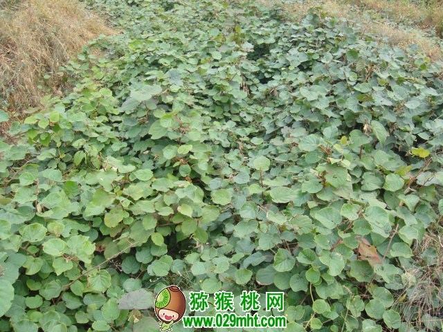 豪门国际官方网站图片