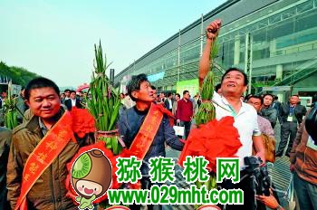 豪门国际官方网站图片