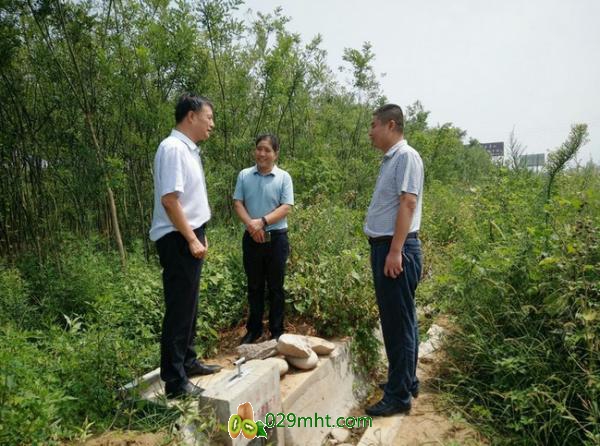豪门国际官方网站图片