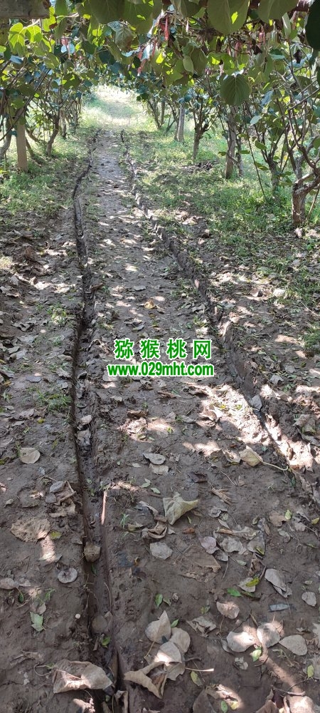 豪门国际 88a3f