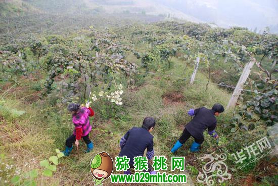 豪门国际官方网站图片