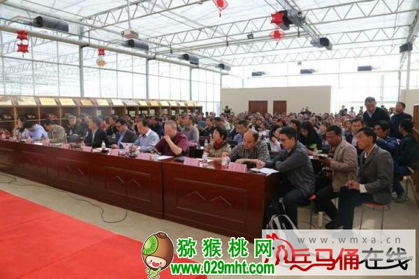 豪门国际 24cbf
