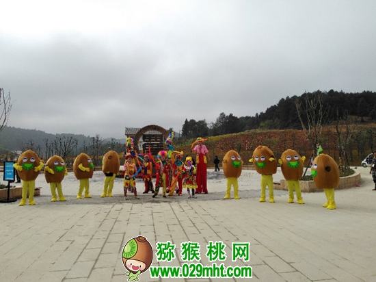 豪门国际官方网站图片