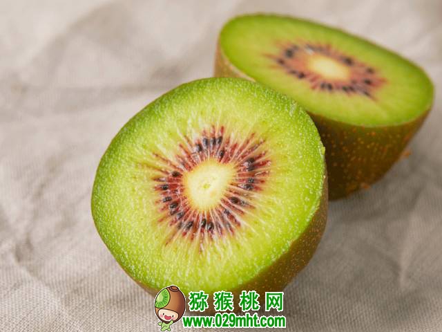 豪门国际官方网站图片