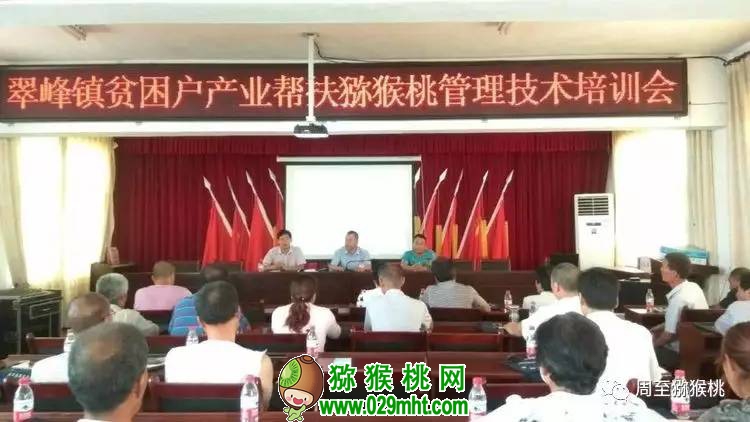 豪门国际官方网站图片