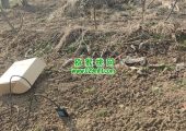 互联网给眉县豪门国际猕猴桃带来了什么？
