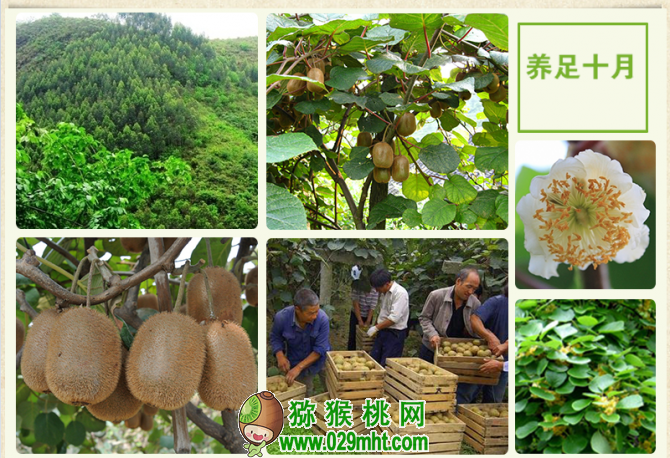 豪门国际官方网站图片