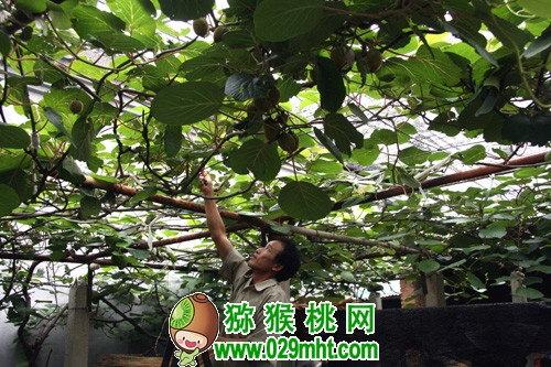 豪门国际官方网站图片