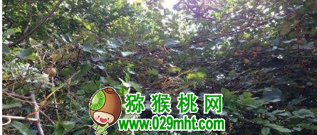 豪门国际官方网站图片