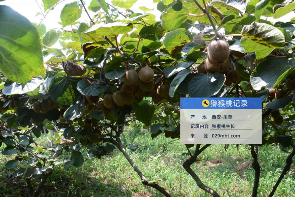 豪门国际官方网站图片
